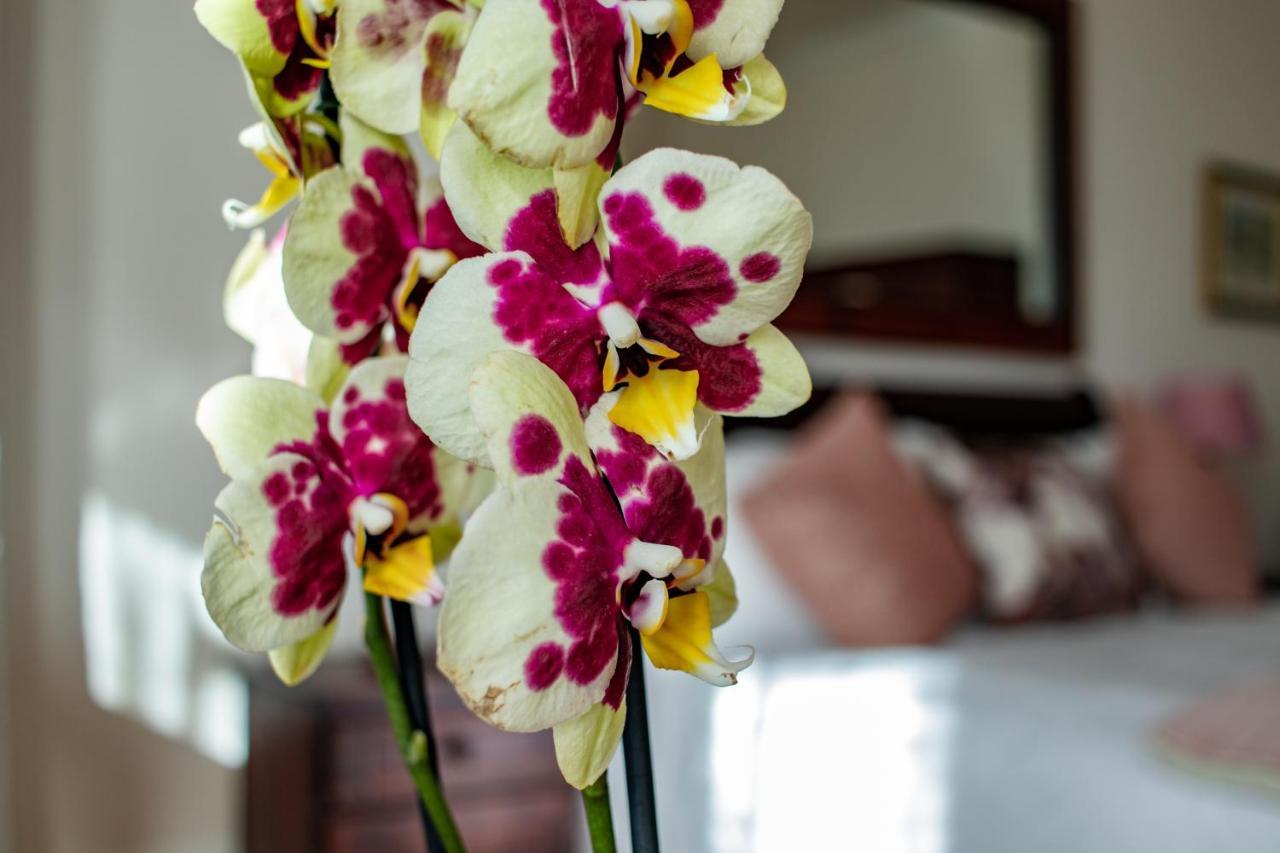 Carmichael House Boutique Hotel ケープタウン エクステリア 写真